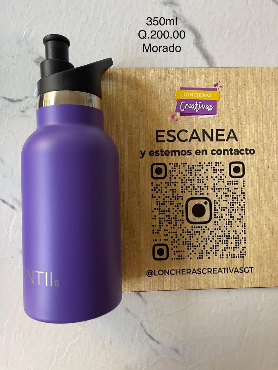Pachón Montii morado